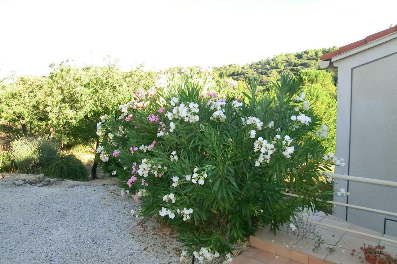 Gite Charlrose At La Platriere Cazedarnes Экстерьер фото