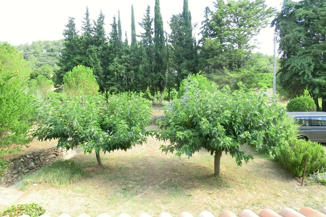 Gite Charlrose At La Platriere Cazedarnes Экстерьер фото